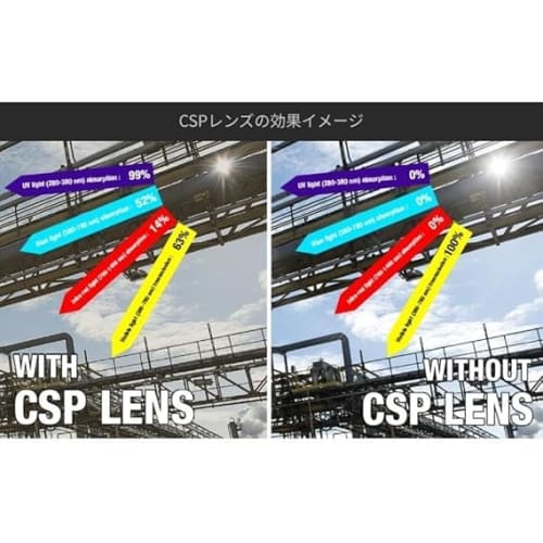 CIWS Volley Goggles, Shooting Glasses, Protective Eyewear, Face Mask, Pouch, Band, Airsoft (Tryon CSP Lens Pouch)