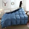 Winter White Goose Down Duvet Thickened Warmth Double Quilt Single Dormitory Quilt Large Soft and Comfortable Duvet