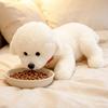 3340Cm Lying Dog Puppy Doll Plush Toy Stuffed Cartoon Animal Bichon Frise Border Collie Shiba Inu Plushie Companion Gift