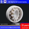 Corrosion-Resistant Self-Aligning Ceramic Bearings 1200–1206