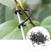 Plant Binding Buckles for Tomatoes and Grapes, Garden  Support Clips, Vegetable Fixing Hooks for Stable Growth and Training