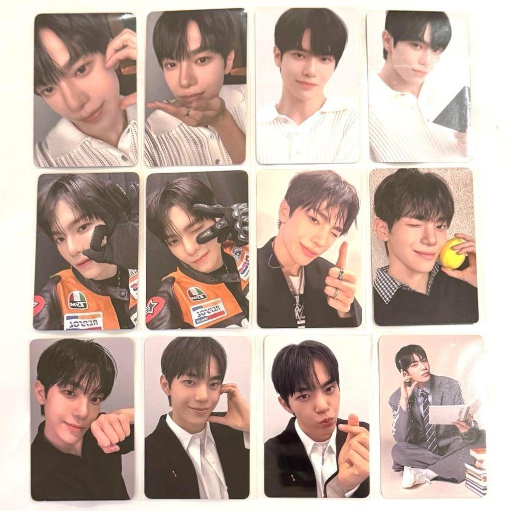 [USED] Dongyu trading card complete set of 12 Voipura 2 archive exhibition