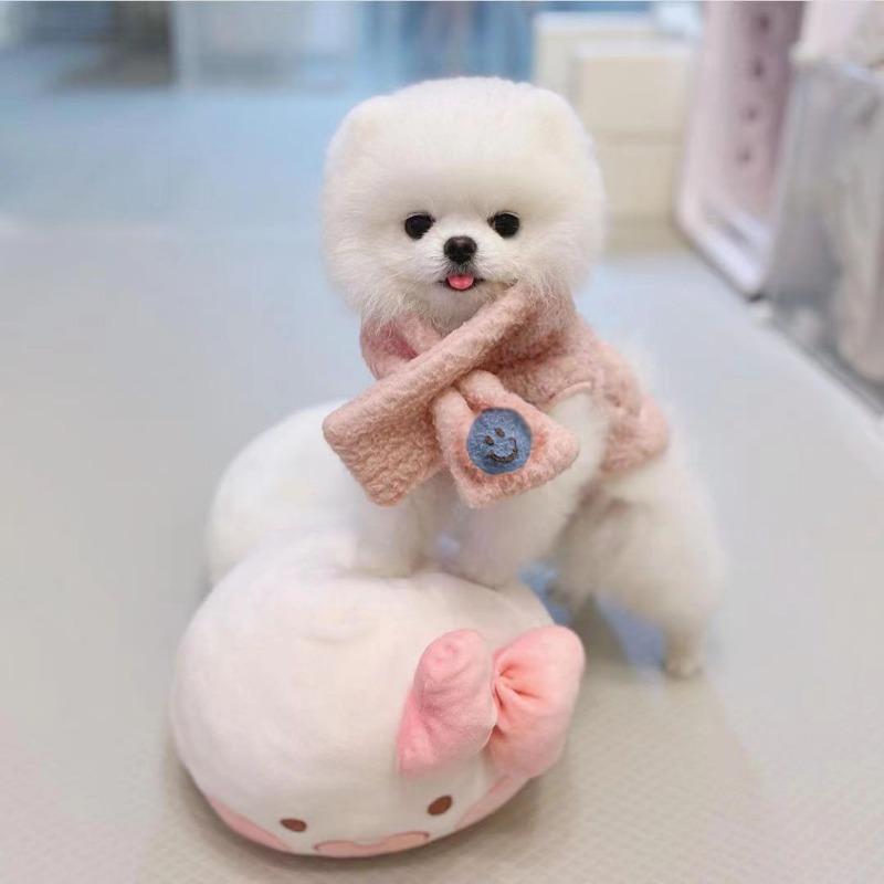 

Dog autumn and winter clothes universal cheap Schnauzer small dog winter handsome expression scarf velvet vest XXL chest 55 back 45 about 14-8.5 kg