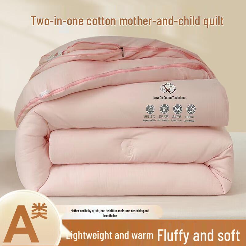 DZQ Thickened Warm 2-in-1 Winter Duvet
