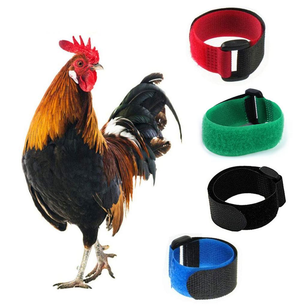 2PCS No Crow Rooster Collar Chicken Collar Noise Free Anti-Hook Neckband Collars Collar To Prevent Chickens from Crowing