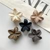 Milk Tea Color Sweet Egg Flower Hair Claw Combination Set, Small Frosted Holiday Style High-End Hair Accessories, Daily Wear, Comfortable And Light