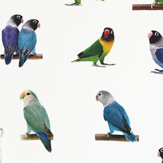 Wall Sticker Moisture-proof Removable PVC Parrot Painting Wall Decal for Nursery Room