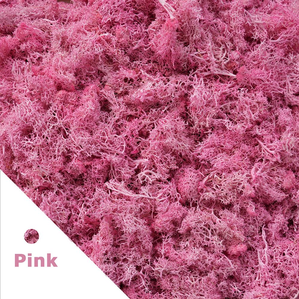 500g/1000g Mini Landscape Moss Grass Eternal Life Fake Grass Artificial Green Plants Home Garden Decoration DIY Crafts