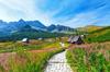 Photomural Mountains Washable Fleece 416x290