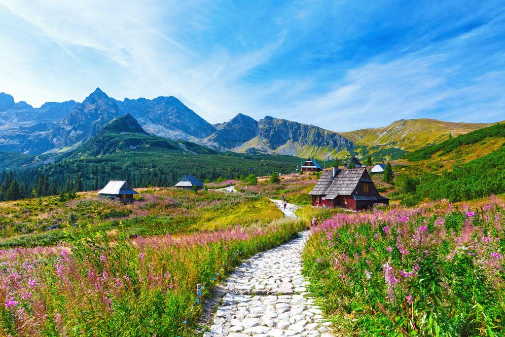 Photomural Mountains Washable Fleece 416x290