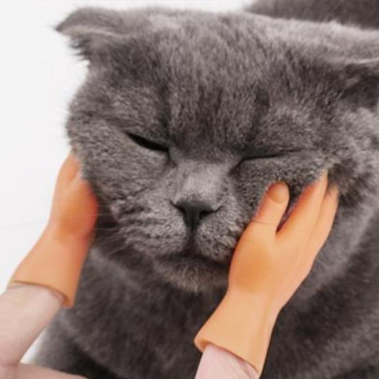 4/6 kusů Loutky na prsty Ohýbatelné Roztomilé Mini Ruční loutky Realistický Vzhled Odolné proti roztržení Bezpečné Zábavné Gesta Hračka Malé ruce pro domácí mazlíčky