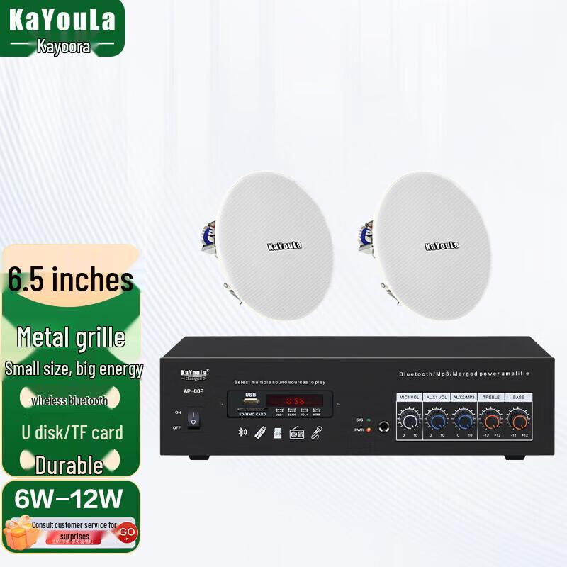 KaYouLa Conference Audio-Video Ceiling Speaker System (CN version)