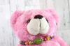 Take Off Plüschtier Spieluhr Lark der Bär, Klein, Rosa