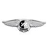 Front Hood Emblem & Wings for IM L6/LS6/L7/LS7 - 3D Decorative Car Sticker