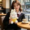 Plush Bunny Stuffed Animal Soft Cuddly Rabbit Doll with Embroidered Outfit Large Face Design for Birthday Gift and Comfort Pillow
