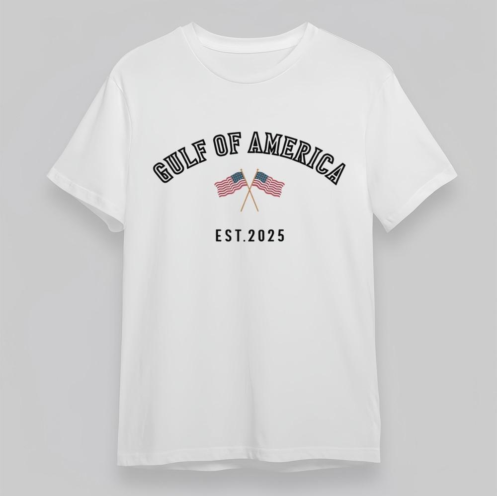 

Women s Plus Size Classic -Shirt Abstract Flag Design Stripes Print Pattern Tee 2XL