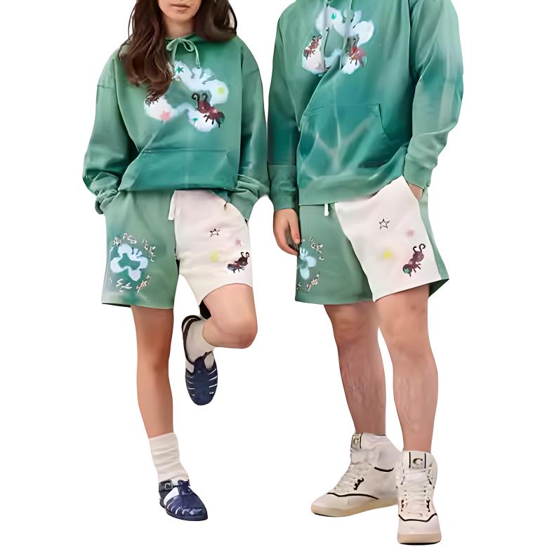 Coach FW23 Washed Hooded Printed Long Sleeve Sweatshirt Unisex sweatshirt Green CN987-GRU