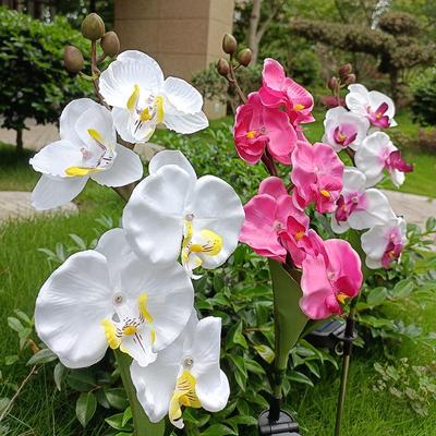 LED Outdoor Solar Phalaenopsis Flower Lights for Garden, Patio, and Lawn Decoration