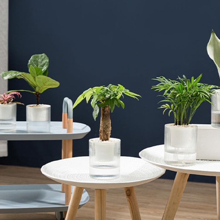 Household Anti Rots Auto-Watering Planter for Living Room Plant Flowers Automatic Water-Absorbing Flowerpots