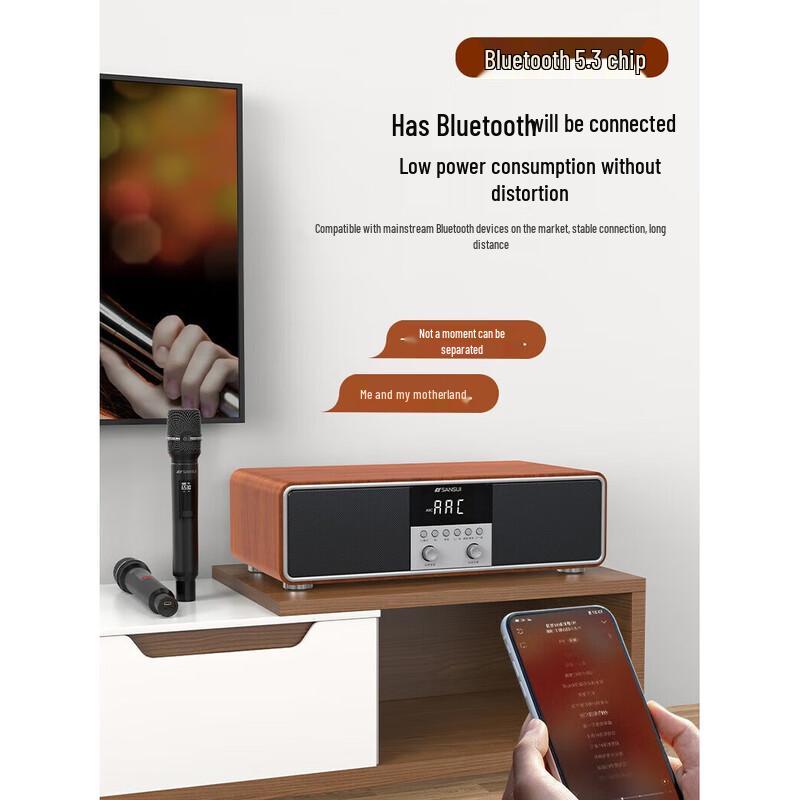 SANSUI T73 Home KTV Karaoke Audio System CN Plug (adapter Included)