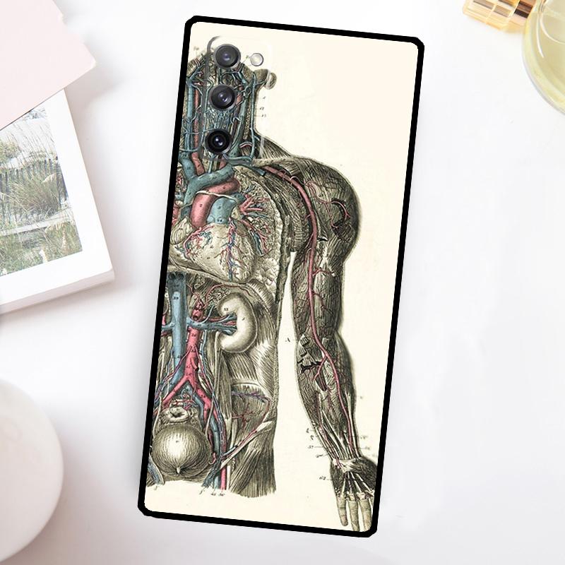 Medizinische menschliche Anatomie Hülle Für Samsung Galaxy S23 Ultra S22 Plus S20 S21 FE S8 S9 S10 Note 10 20 S24 Ultra Hülle