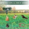 Solar Animal Repeller: Mouse, Snake, Dog, Cat, Bird Outdoor Infrared Strobe