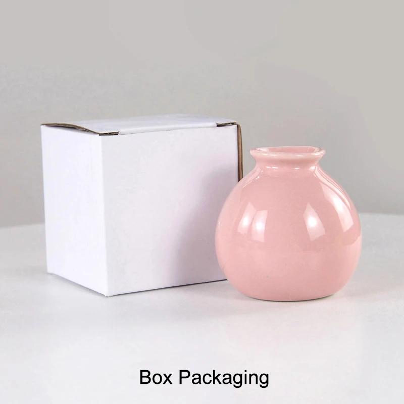 Ceramiczny wazon na kwiaty Nordic Hydroponics Wazony do dekoracji pokoju domowego Miniaturowa roślina kwiatowa Białe doniczki na butelki Ozdoba na biurko