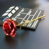 Red Rose for Valentine Day Gift Artificial Flower Red Rose Gift 1 Red Rose for Girlfriend Boyfriend Valentine Week Rose Day
