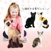 Tiger Tale Toys Realistic Cat Plush Cute Pet for Girls and Boys Toy, 35cm, Cat, (American Shorthair)