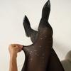 Damen Mode Durchscheinende Strumpfhosen Hohe Elastizität Schlanke Leggings Für Frühling Herbst Freizeit- & Party-Outfits