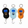 Express Scale Travel Digital Hanging Scales Multifunction Scales Luggage Scale Electronic Scale