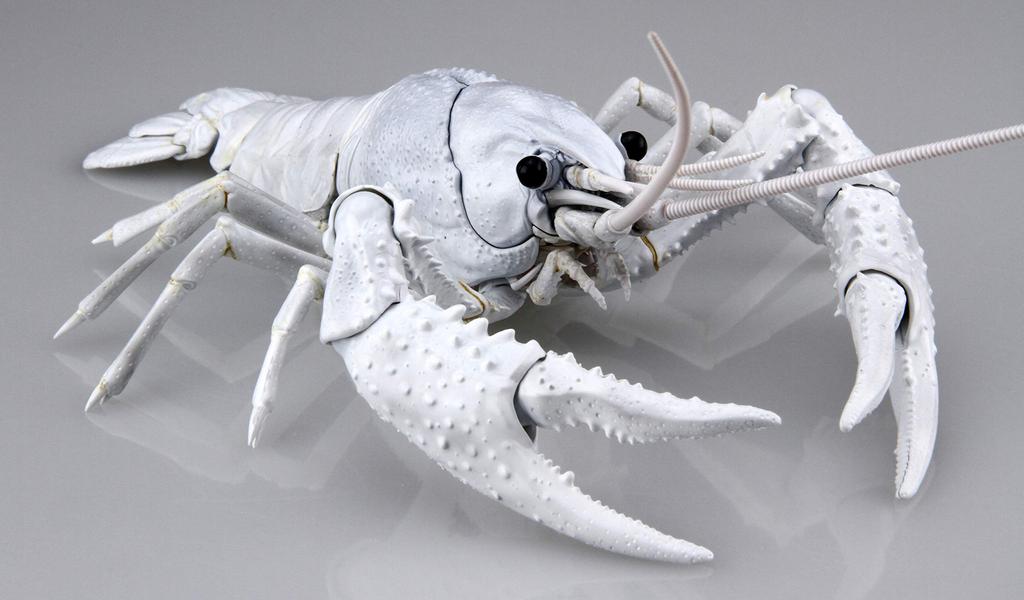 Fujimi Model Free Research Series Creatures American Crayfish Color Coded Plastic Model Free Research No.24 EX-2 (White) Non-scale 24EX-2