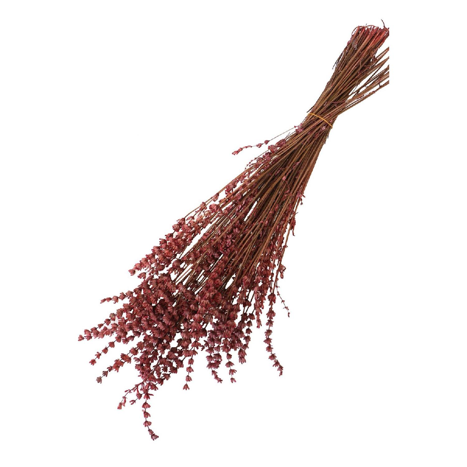 

Shock-proof Spill Resistant Real Lavender Bunch Fuchsia (100 Gr) розовый