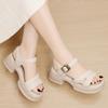 Thick-soled Blocky Heel High-end Roman Fashion Sandals Women Wear New Women's Strap Women's Shoes In Summer