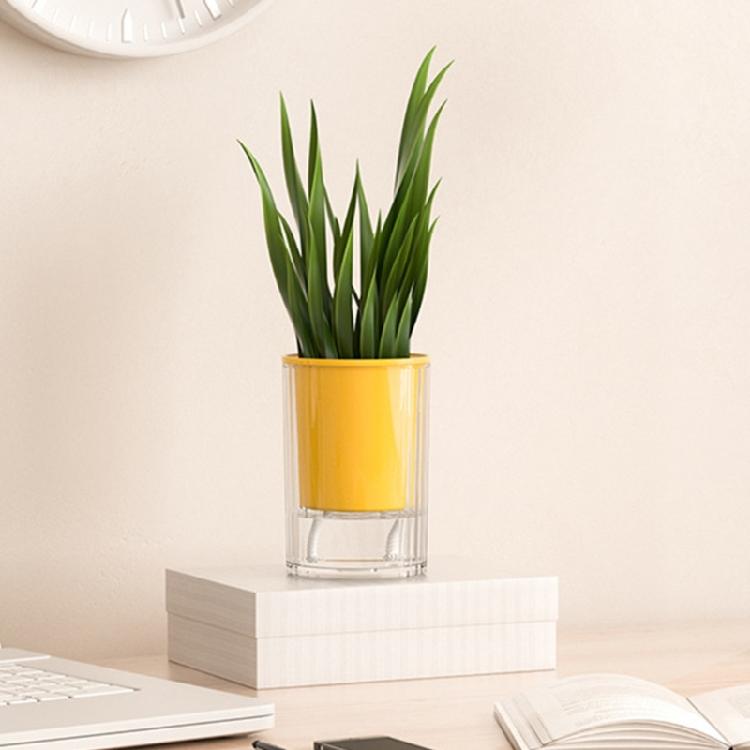 Modern Selfwatering Flower Pot Healthy Plant Growth Auto Watering Flower Holder For Home Decors Balcony Planting Supply