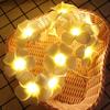 Foam Plumeria Flower String Lights Battery Powered Christmas Garland Fairy Lights for Christmas Home Wedding Party Decor