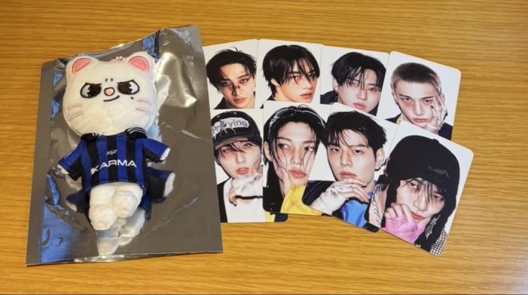 

[USED] KARMA SKZOOver. Ginillet