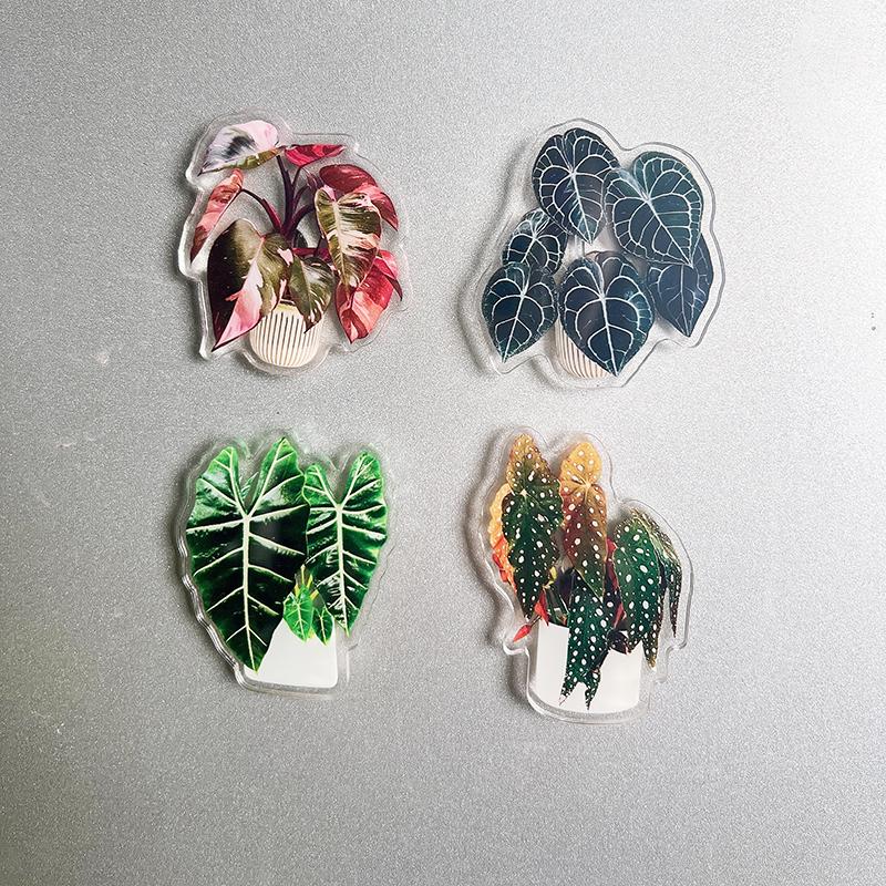 4pcs Potted Plant Fridge Magnet - Double acrylic potted plant kitchen and office decorative magnet Holiday souvenir