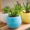 Accessories Baskets Colorful Home Decoration Mixed Colors