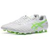 Asics Ds Light X-Fly Pro L.E. Round Toe Lace-Up AG (Rubber Short Stud) Leather Soccer Shoes Men Soccer Shoes White Green 1101A025-105