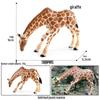 Large Giraffe Wild Animal Model Toy for Kids' Science and Cognitive Learning