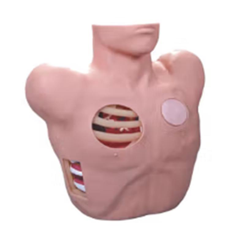 Weiss Thoracic Puncture Training Manikin Standard