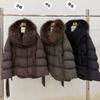 Autumn and Winter New Fox Big Fur Collar Short Down Jacket Women's Hooded Loose Thickened Warm Fashion Coat