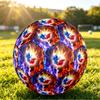 France Football Printed Size 5 Soccer Ball Wear Resistant Standard Adult Training Football Fan Gift for Indoor Outdoor Match Sports