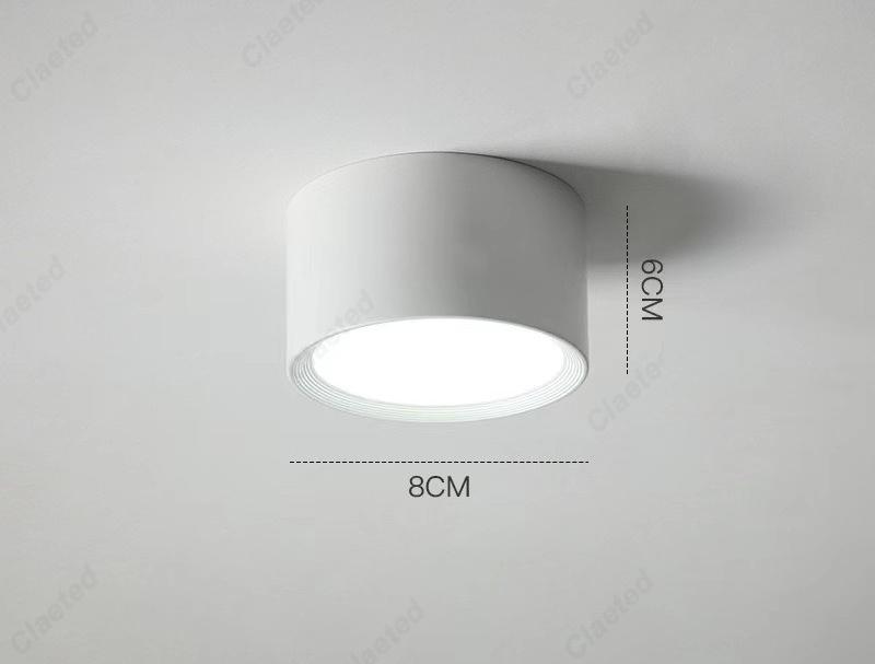 New Simple LED Wrought Iron Ceiling Lamp Living Room Dining Room Corridor Bedroom Decorative Lighting white light