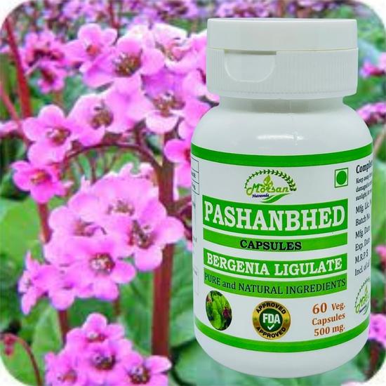 Morsan Nutraveda Pashanbhed (Bergenia Ligulata) Extract | 60 x 500 mg Veg Capsules | Supports Renal Health, Aids Natural Detox