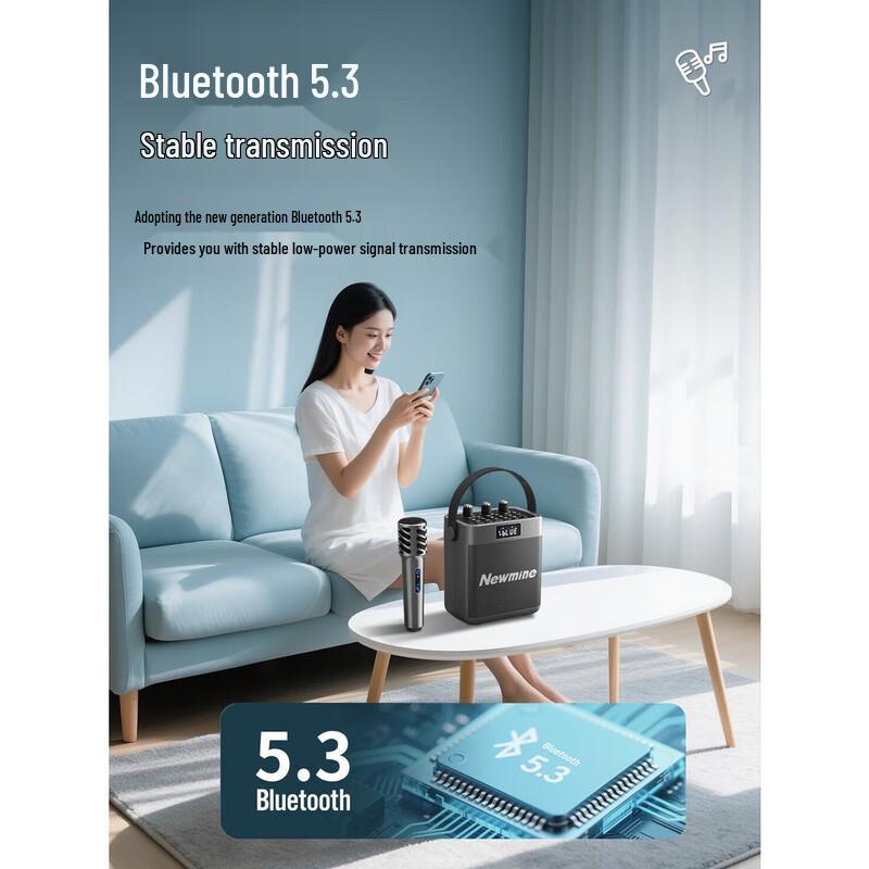 Newmine K519 Portable Bluetooth Karaoke Speaker System
