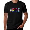 Pride Various Queer Flags 1 Tshirt Cotton Tshirt 100 Tshirt