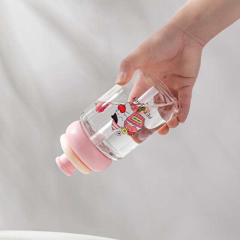 Shanzhongshan Portable Glass Straw Cup