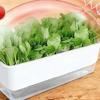 Self Watering Seedling Tray Plastic Growing Box Practical Plant Nursery Pot  Vegetable Gardening